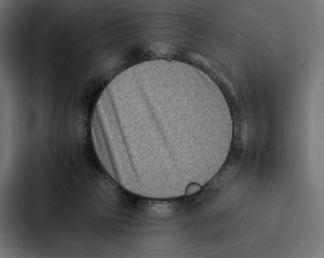 X0000087060710200705161012