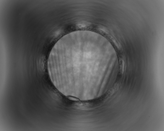 X0000087060712200705161012