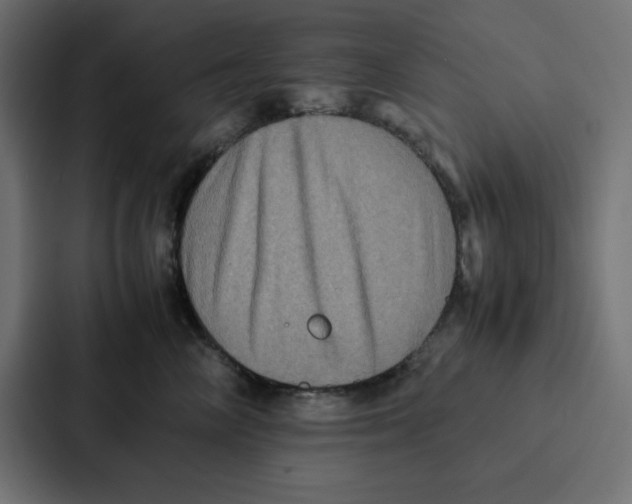 X0000087060714200705161012