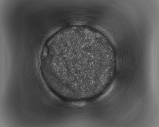 X0000087060721200705161011