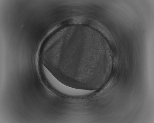 X0000087060722200705161011