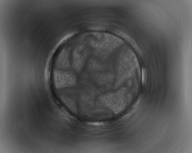 X0000087060723200705161011