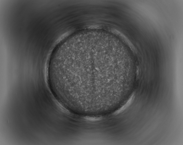 X0000087060725200705161011