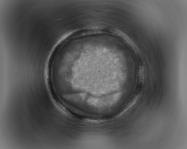 X0000087060726200705161011