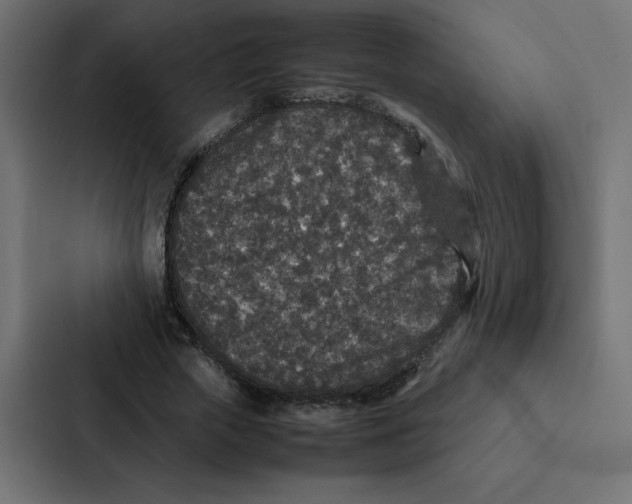 X0000087060729200705161011