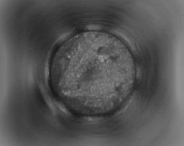 X0000087060733200705161011