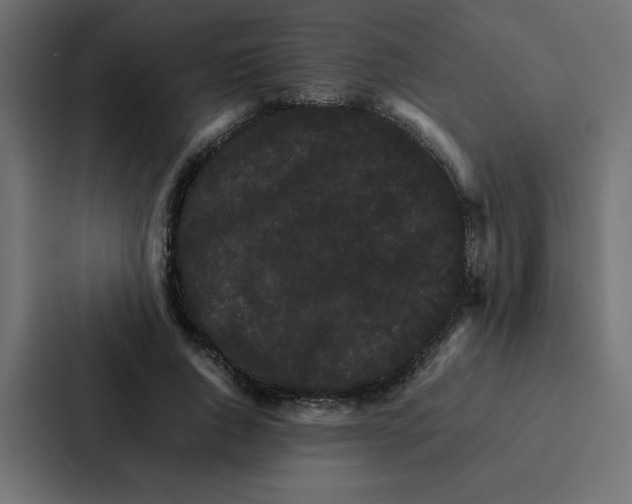 X0000087060736200705161011