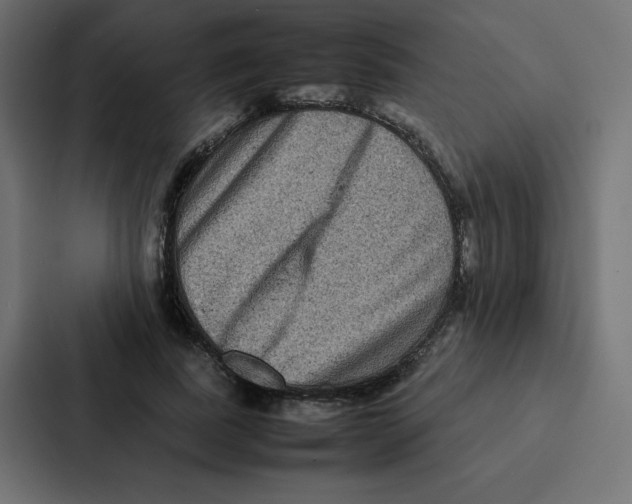 X0000087060739200705161011