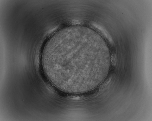 X0000087060740200705161011