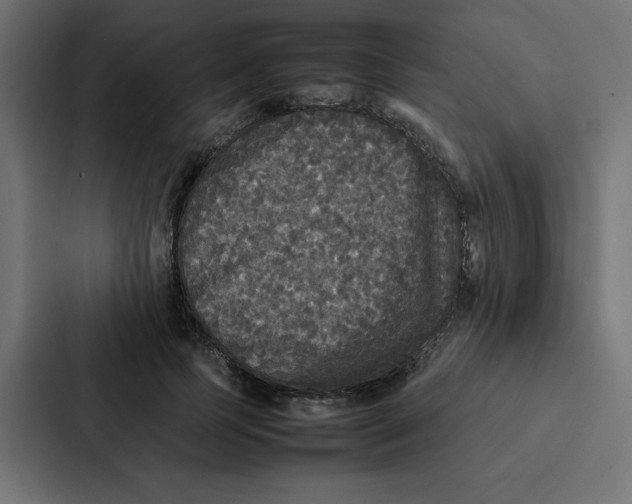 X0000087060745200705161012