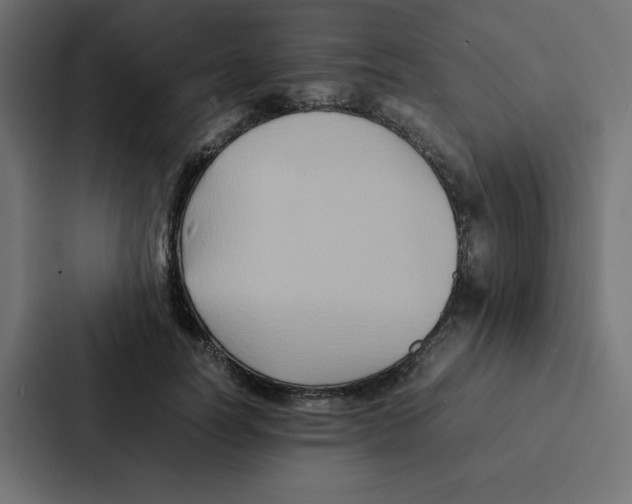 X0000087060746200705161012