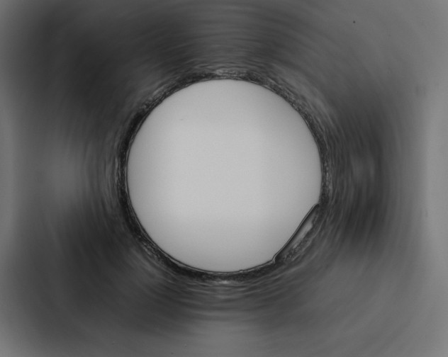 X0000087060748200705161012