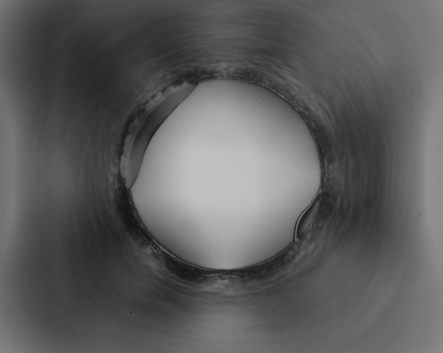 X0000087060750200705161012