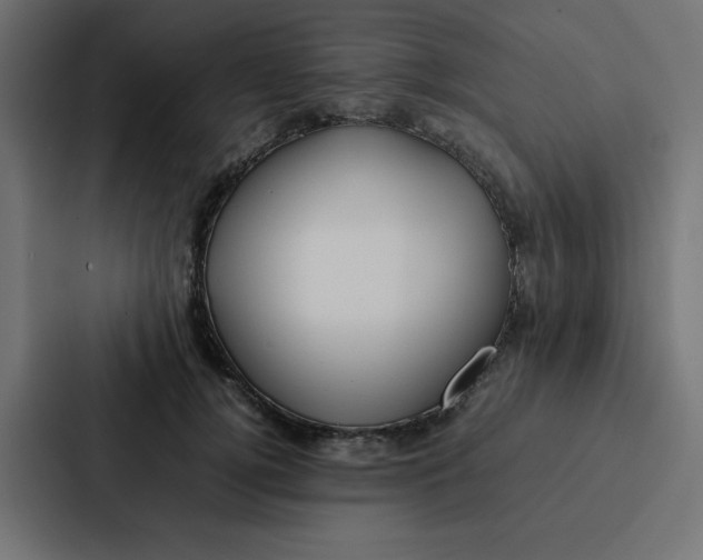 X0000087060752200705161012