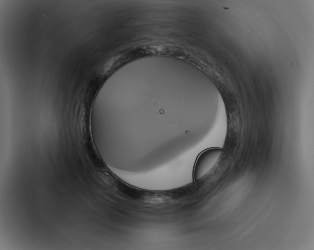 X0000087060754200705161012