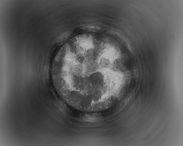 X0000087060757200705161012