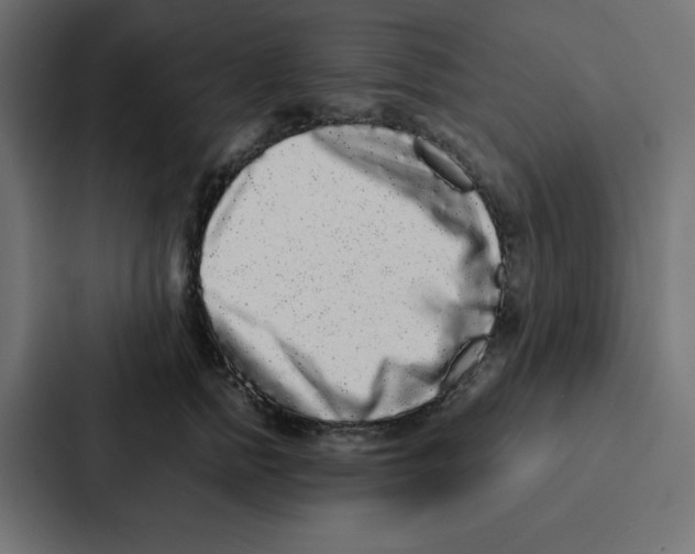 X0000087060758200705161012