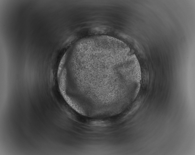 X0000087060759200705161012