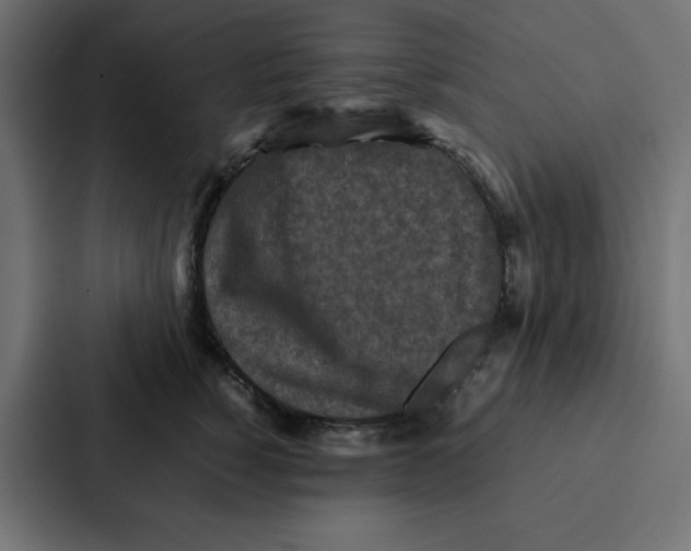 X0000087060760200705161012