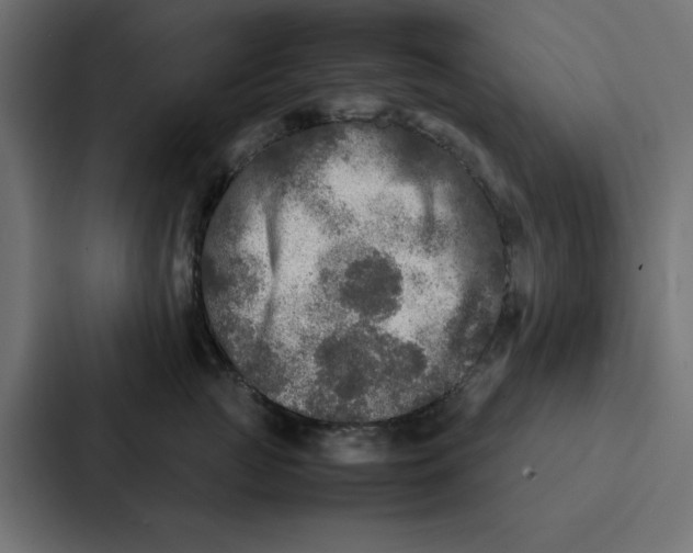 X0000087060761200705161012