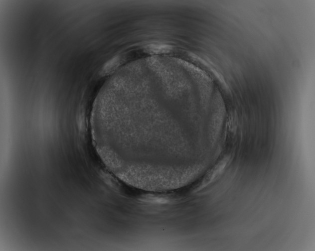 X0000087060763200705161012