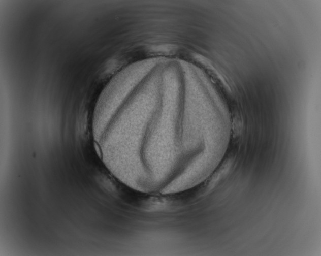 X0000087060764200705161012