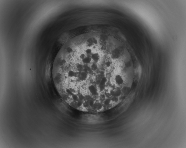 X0000087060765200705161012