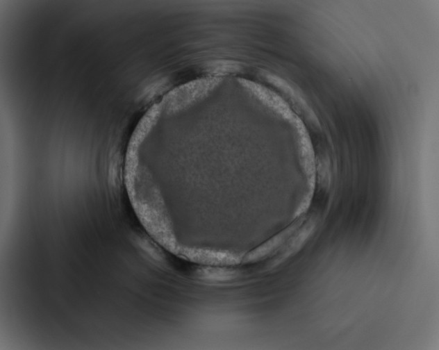 X0000087060766200705161012