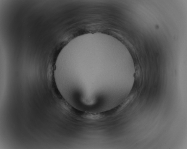 X0000087060767200705161012