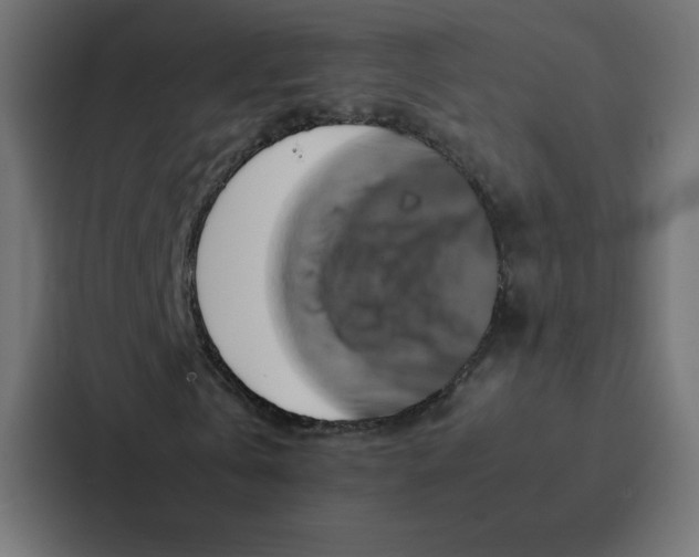 X0000087060769200705161011