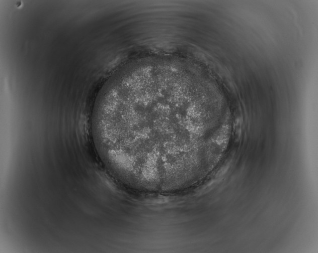 X0000087060772200705161011