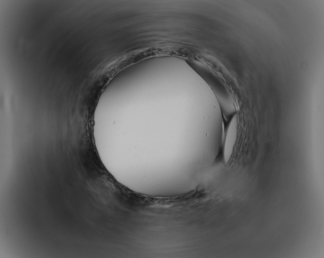 X0000087060773200705161011