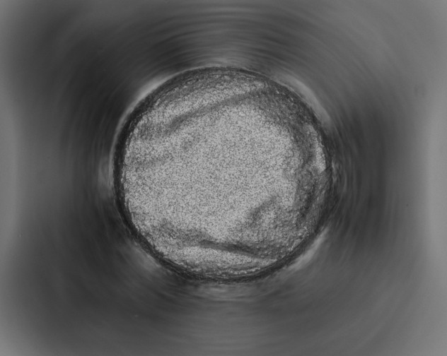 X0000087060780200705161011