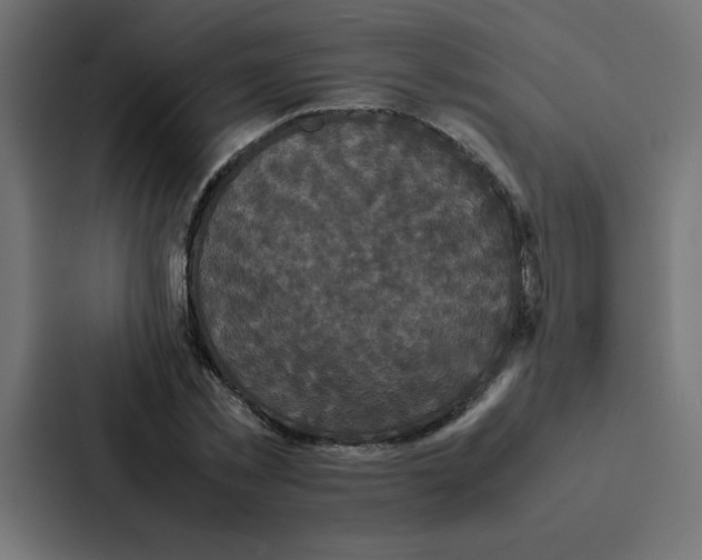 X0000087060781200705161011