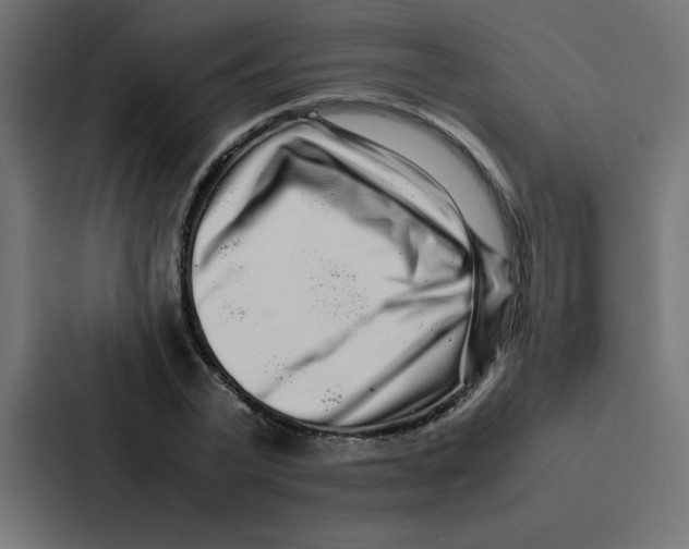 X0000087060783200705161011