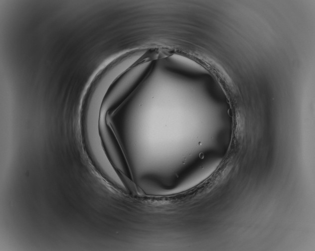 X0000087060784200705161011