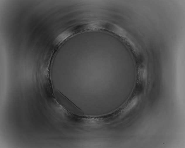 X0000087060785200705161011