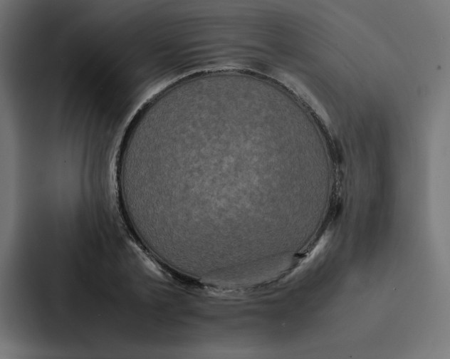 X0000087060789200705161011