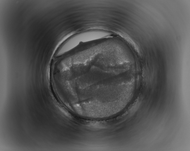 X0000087060790200705161011