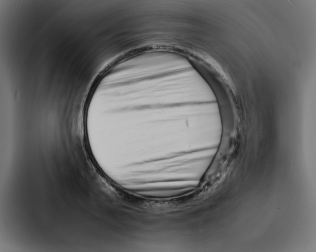 X0000087060791200705161011