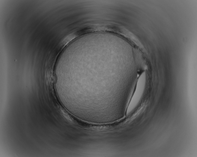 X0000087060793200705161011