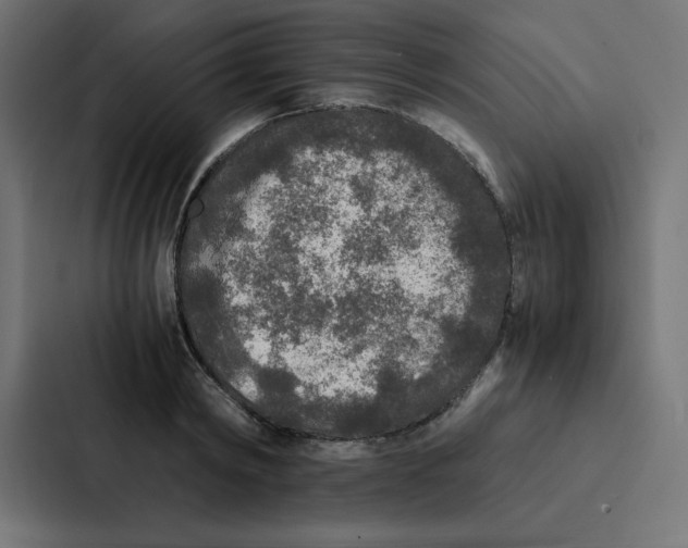 X0000087060798200705161011