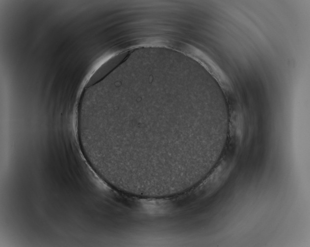 X0000087060804200705161011