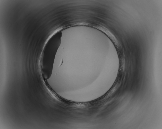 X0000087060806200705161011