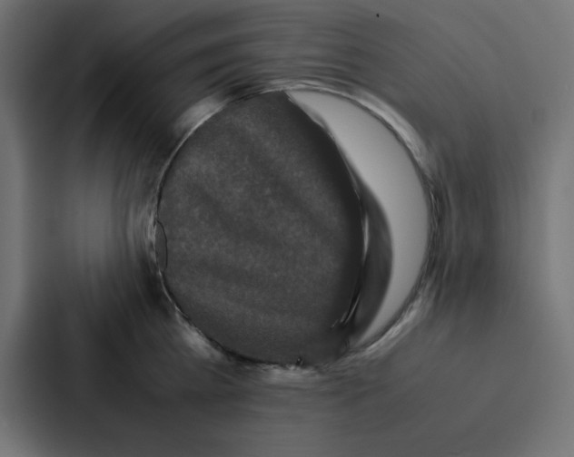 X0000087060809200705161011