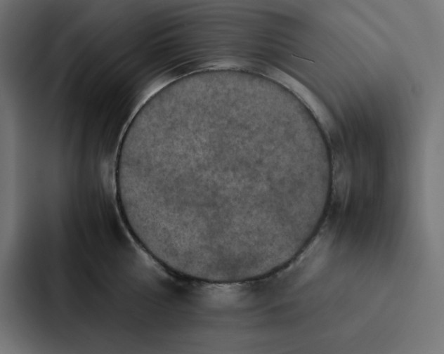 X0000087060810200705161011