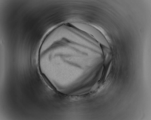 X0000087060815200705161011