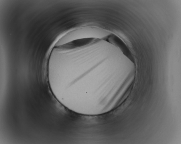 X0000087060816200705161011