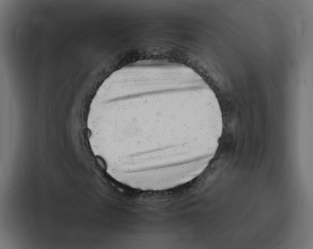 X0000087060817200705161010