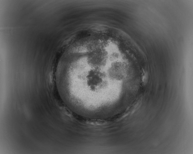 X0000087060819200705161010